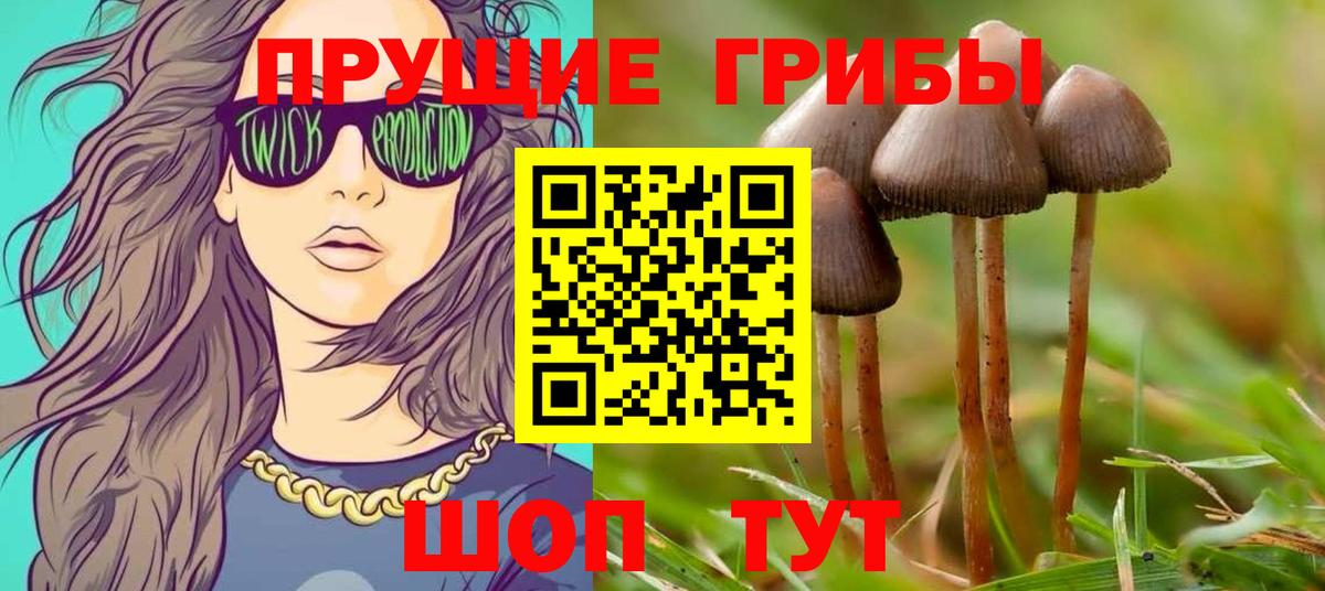 Псилоцибиновые грибы мицелий  Вход с VPN  Нижневартовск  Галлюциногенные грибы ЛСД 