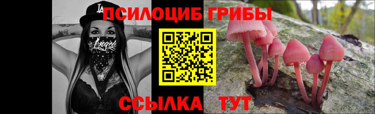 Галлюциногенные грибы Cubensis Нижневартовск
